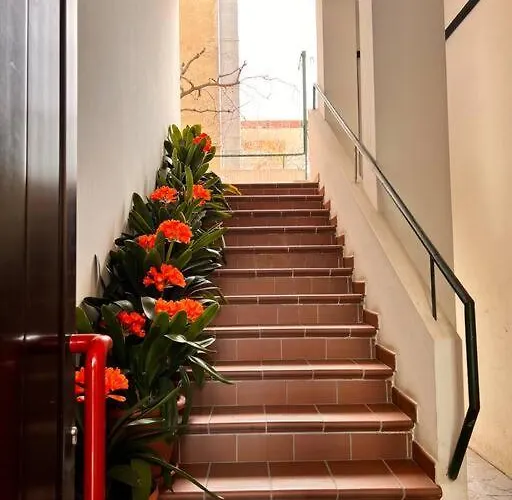 Riminese Vista Mare *